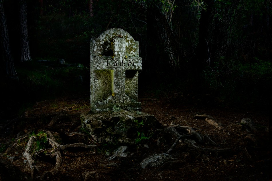 La lápida del bosque